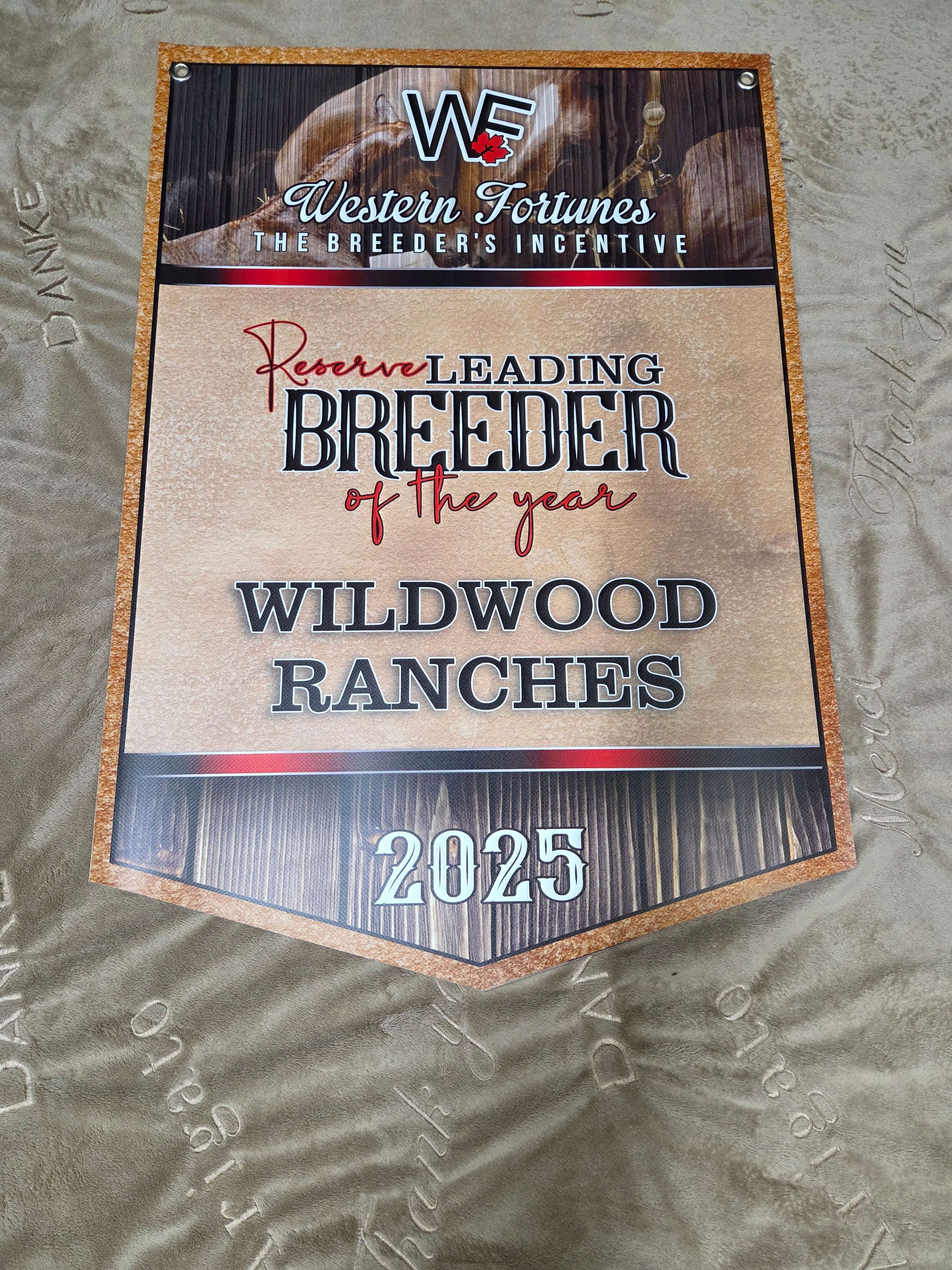 Championship banner