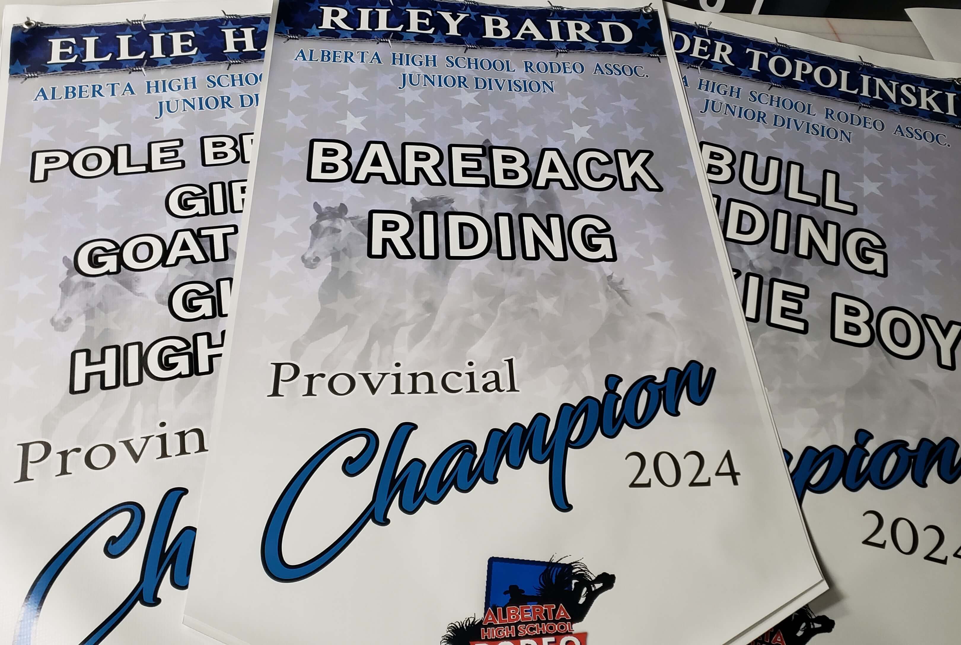 Championship banner