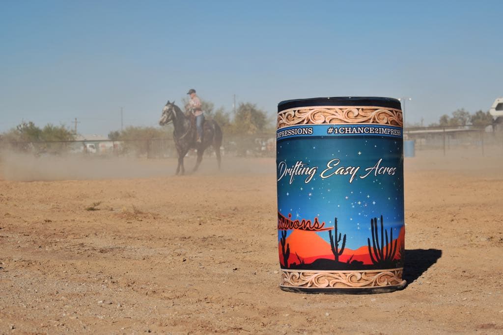 Rider in the arena