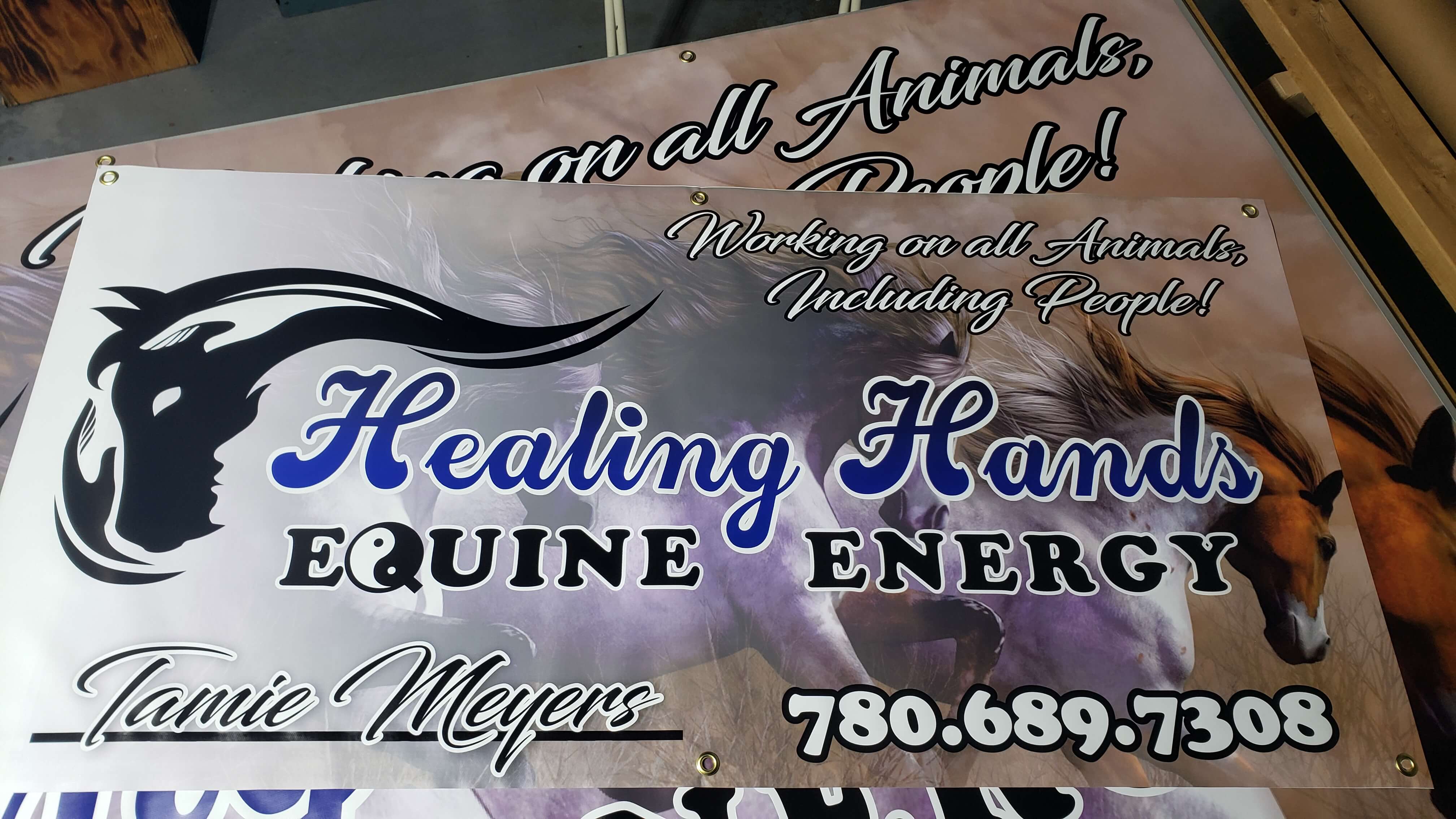Sponsorship banner