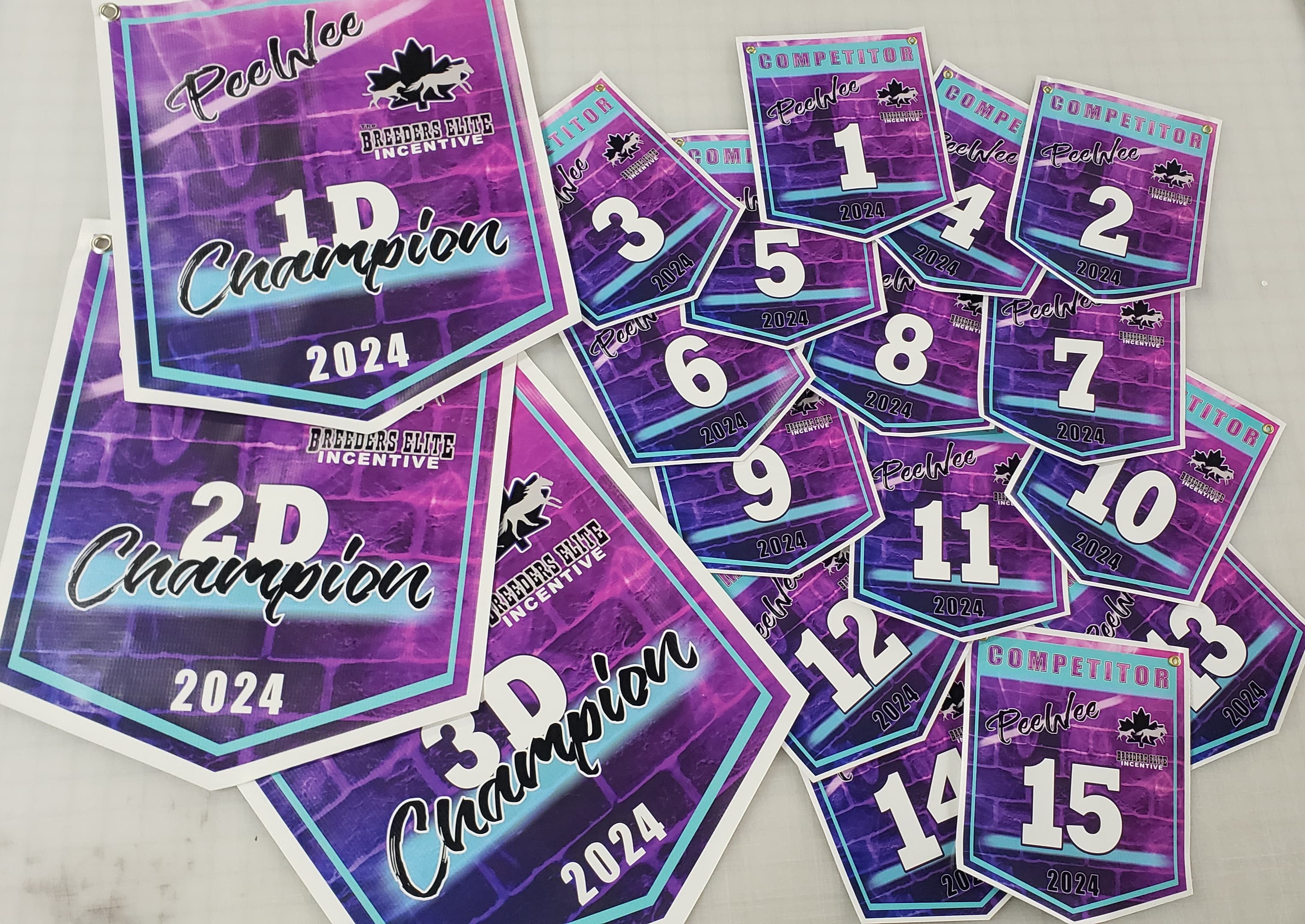 Custom PeeWee champion and competitor back numbers